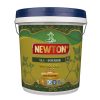 t6-1-newton-interior-son-noi-that-cao-cap