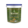 T6.6NG-PRIMER EXT - Sơn lót kháng kiềm ngoại thất -sơn newton