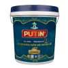 v6-12no-putin-primer-int-son-lot-chong-kiem-noi-that-dac-biet-nano