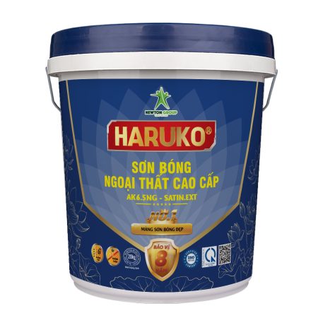 ak6-5ng-haruko-satin-ext-son-bong-ngoai-that-cao-cap