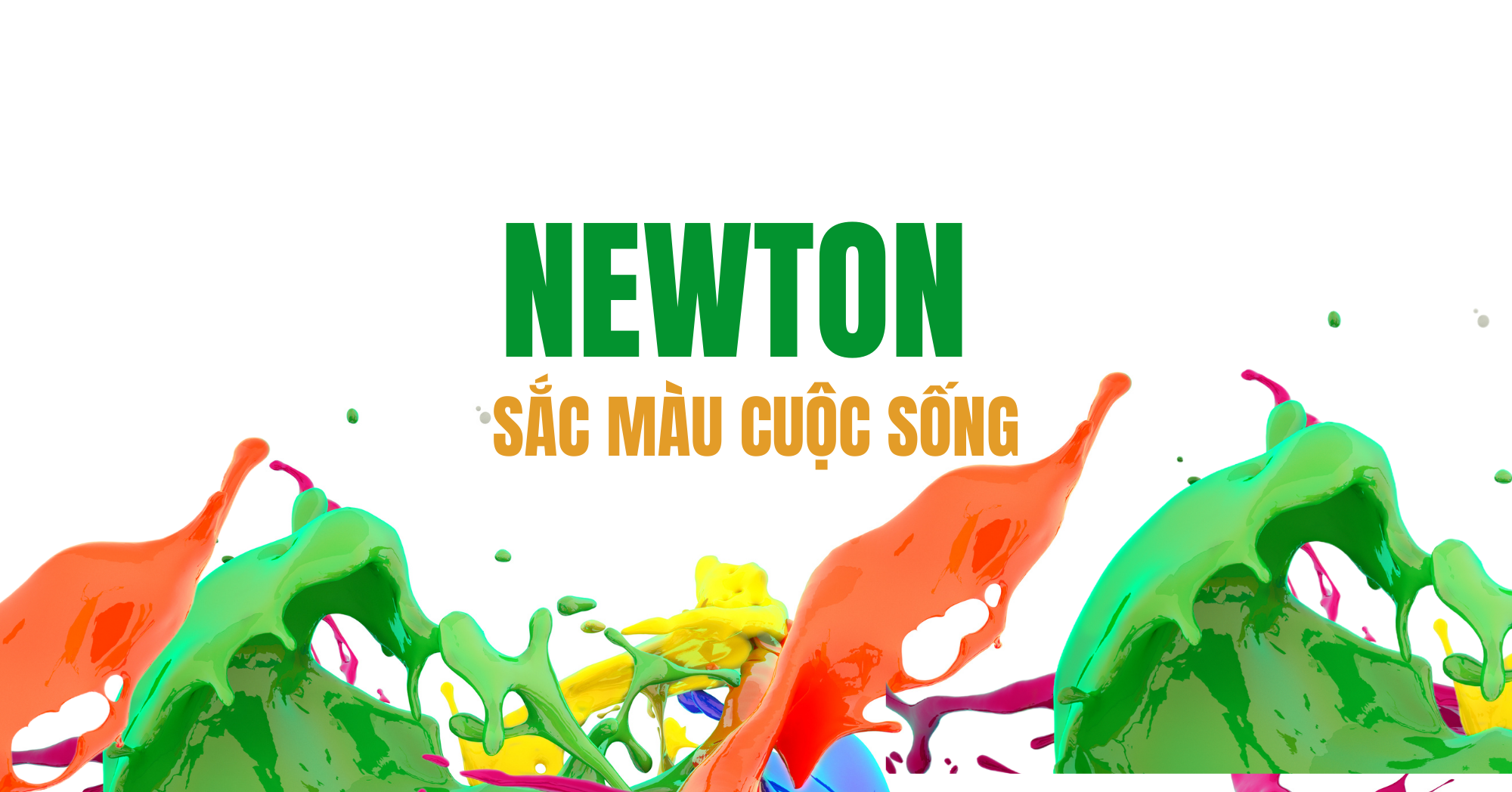 cong-ty-co-phan-newton-sao-phuong-nam