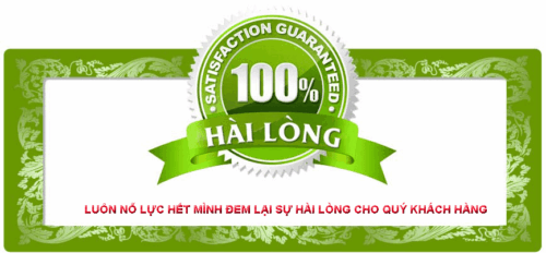 cam-ket-hai-long-newton-sao-phuong-nam