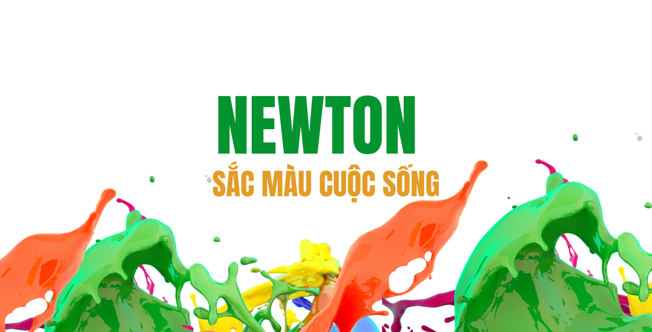 newton-sao-phuong-nam